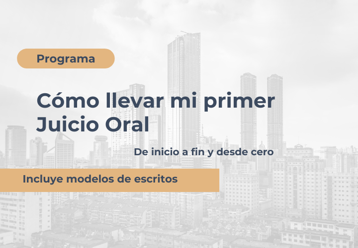 Programa Mi Primer Juicio Oral